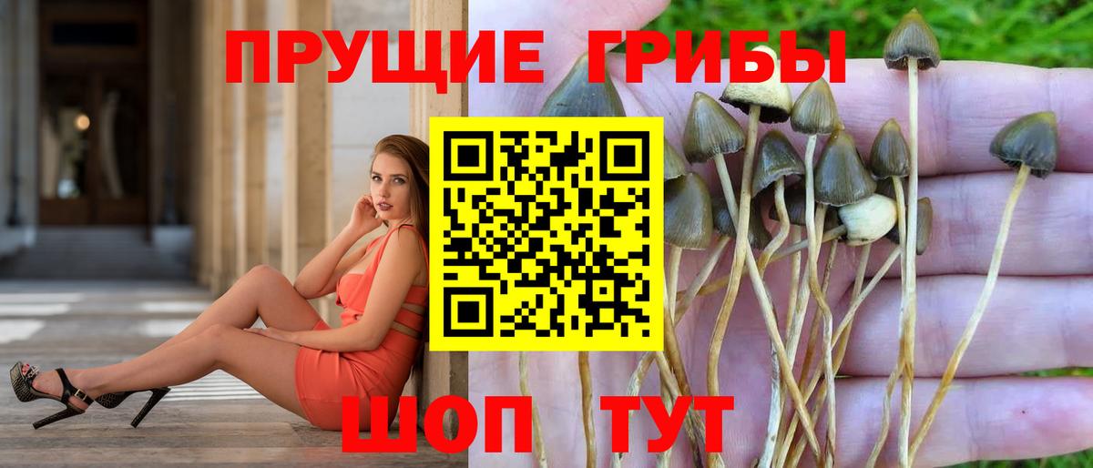 Галлюциногенные грибы ЛСД  Вход с VPN  Кандалакша 